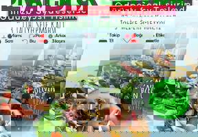 YESTAŞ FOTOĞRAF GALERİSİ