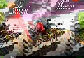 YESTAŞ FOTOĞRAF GALERİSİ