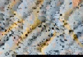 YESTAŞ FOTOĞRAF GALERİSİ