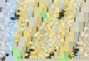 YESTAŞ FOTOĞRAF GALERİSİ