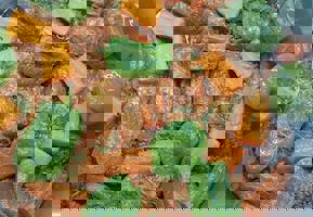 YESTAŞ FOTOĞRAF GALERİSİ