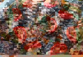 YESTAŞ FOTOĞRAF GALERİSİ