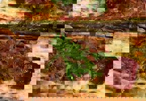 YESTAŞ FOTOĞRAF GALERİSİ