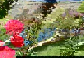 YESTAŞ FOTOĞRAF GALERİSİ