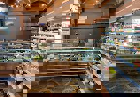 YESTAŞ FOTOĞRAF GALERİSİ