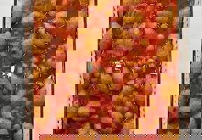 YESTAŞ FOTOĞRAF GALERİSİ