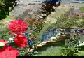 YESTAŞ FOTOĞRAF GALERİSİ