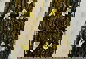 YESTAŞ FOTOĞRAF GALERİSİ