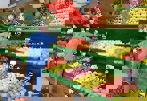 YESTAŞ FOTOĞRAF GALERİSİ