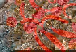 YESTAŞ FOTOĞRAF GALERİSİ