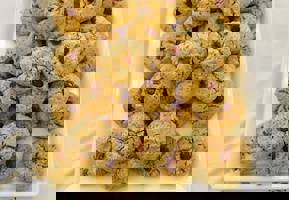 YESTAŞ FOTOĞRAF GALERİSİ